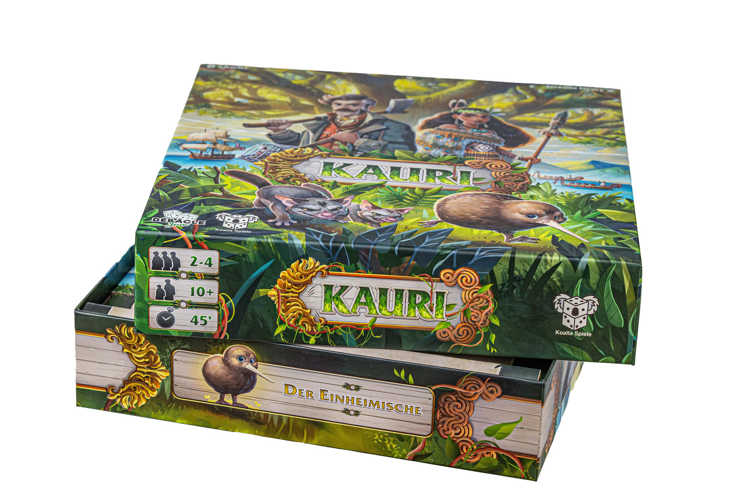 Kauri